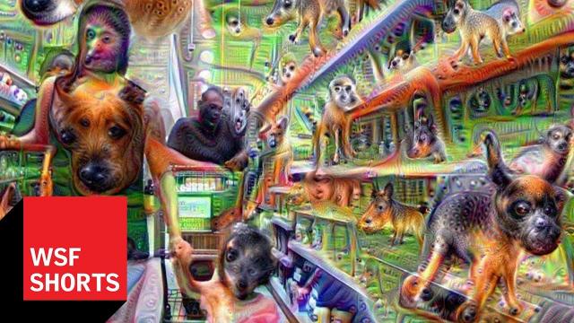 Can A.I. Replicate a Hallucinogenic Experience?