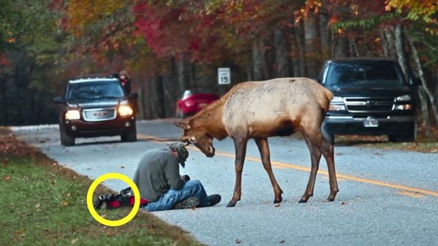 Reindeer Asks Homeless Man For Help, When He Finds Out Why, He Moves In Tears