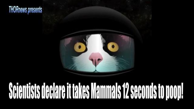 Scientists declare it only takes Mammals 12 seconds to poop!