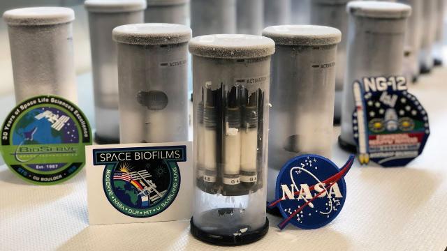 Preventing biofilms in space