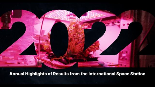 2022 Annual Highlights of Results from the International Space Station