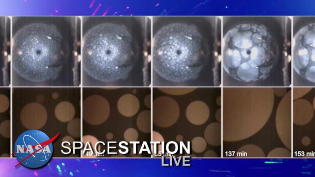 Space Station Live: A Crystal OASIS