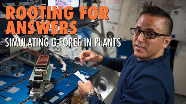Rooting for Answers: Simulating G-Force in Plants