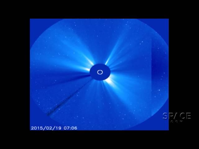Weird, Tiny Comet Survives Solar 'Death Dive', Brightens | Video