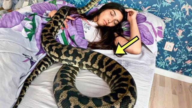 Little Girl Can't Sleep Without Her Snake - Doctor Is In Shock When He Discovers Why
