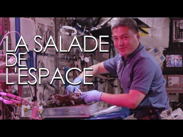 À bord de l’ISS, on déguste des salades extraterrestres