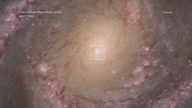 Thousands of stars destroyed by black holes in multiple galaxies, x-ray evidence