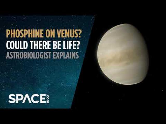 Life on Venus? Phosphine found? Astrobiologist explains