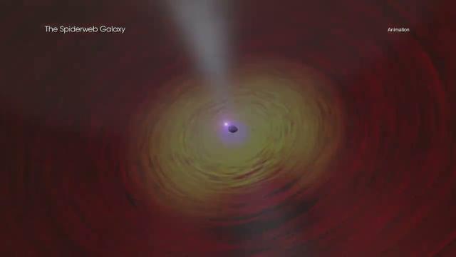 'Galactic Spiderweb' harboring hungry black holes