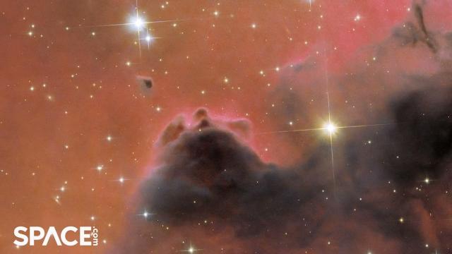 Hubble snaps a nebula's free-floating Evaporating Gaseous Globule
