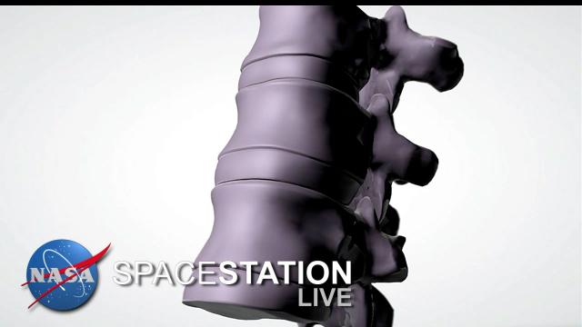 Space Station Live: A Pain in the Back