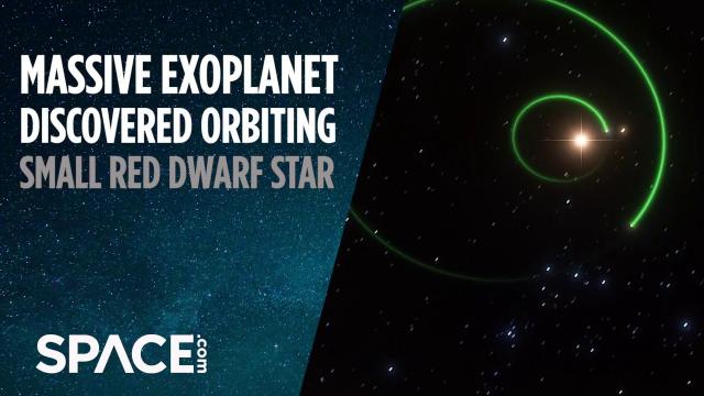 Massive Exoplanet Discovered Orbiting Small Red Dwarf Star