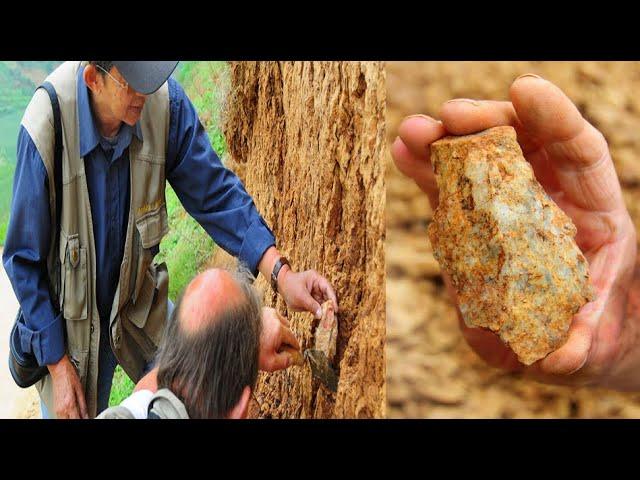 90,000 year old human footprints found on a Moroccan beach  best preserved in the world