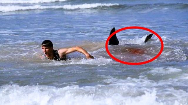 Brave Brother Saves His Sister From Jaws Of 9-Foot Bull Shark