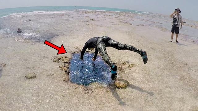 Man Dives Into Puddle After Hearing A Weird Sound - When He Doesn't Return, Lifeguard Calls 911