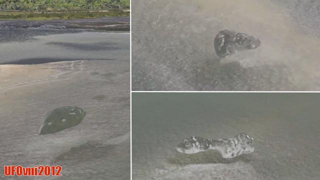 Three Cloaked UFOs Hovering Over a Florida River Have Been Discovered by Using Google Earth