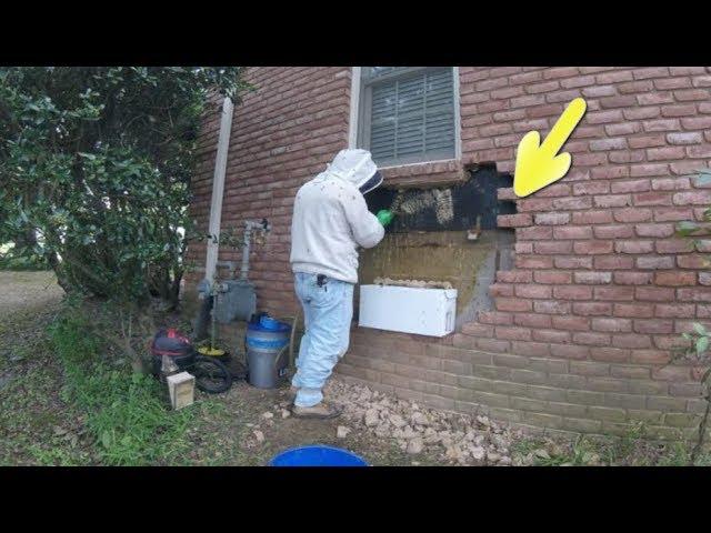 Man Removing Bricks Discovers A Huge Hidden Surprise Behind Them