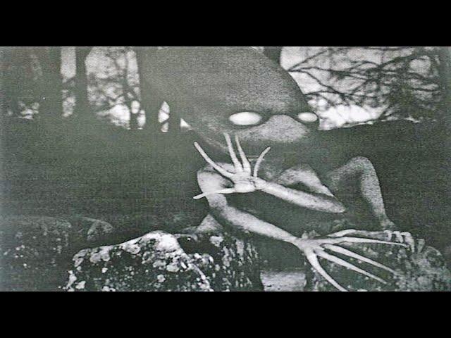 Large-eyed Humanoid Creature with "long thin fingers" spotted by five witnesses in Massachusetts