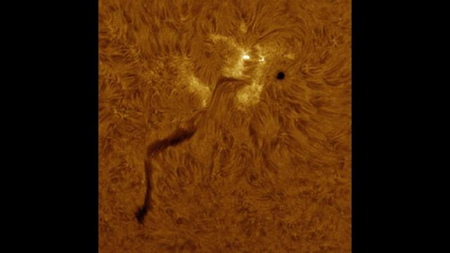 Magnetic Filament EXPLODES from Earth facing Sunspot!