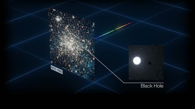 Black hole found 'lurking' in nearby galaxy's star cluster
