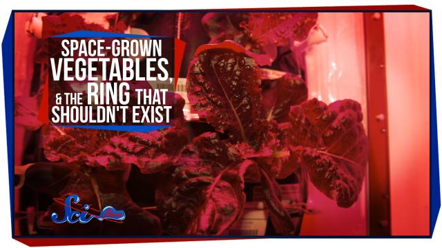 Space-Grown Vegetables, and the Ring That Shouldn't Exist