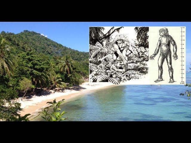 Does a Giant Race Still Exist in the Solomon Islands?