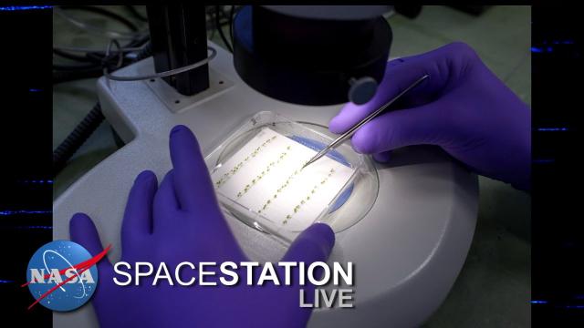 Space Station Live: The WetLab SmartCycler