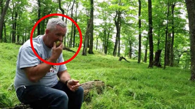 Man Sits Alone In Forest, Suddenly Finds Himself Surrounded By Unexpected Visitors
