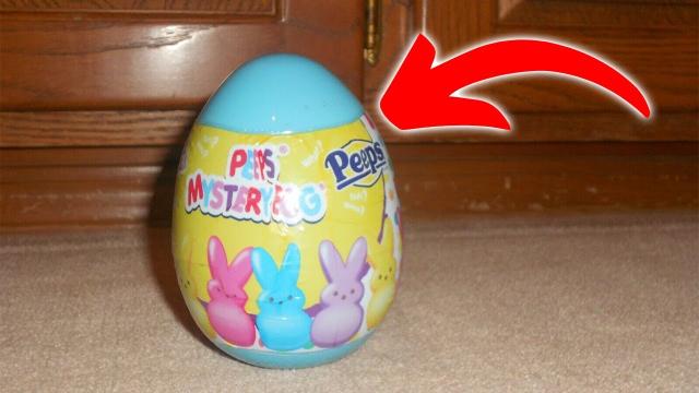 Wife Buys Easter Egg at Flea Market with Last $50, Husband Scolds Her until He Accidentally Opens It