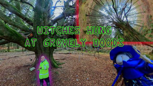 Witches were Hung here at Handsel Trees Grovely Wood