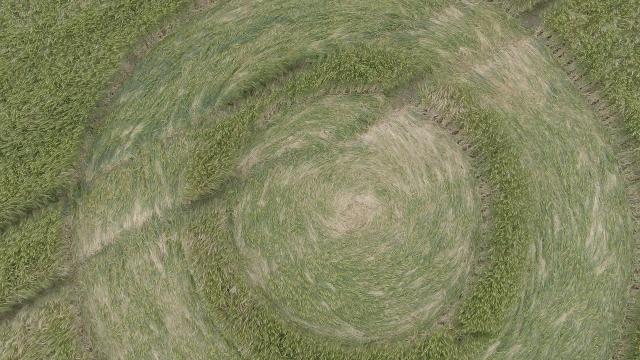 Sixpenny Handley Crop Circle