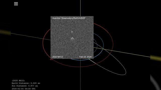 Near-Earth Asteroid 2020 BX12 is a binary - Radar imagery and orbit animation