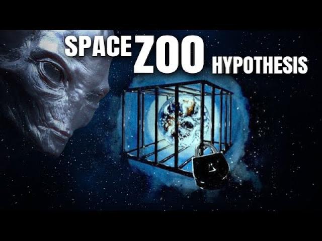 A Visual Confirmation Of The Space Zoo Hypothesis ??? ????