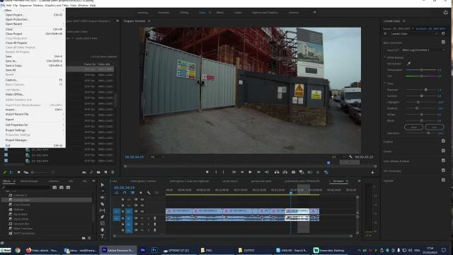 PREMIERE 2021 2022 EXPORT WITH PREVIEWS super slow HERE IS THE FIX