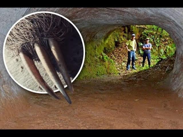 Mysterious Brazilian Tunnels Dug by Mysterious Giant Creatures