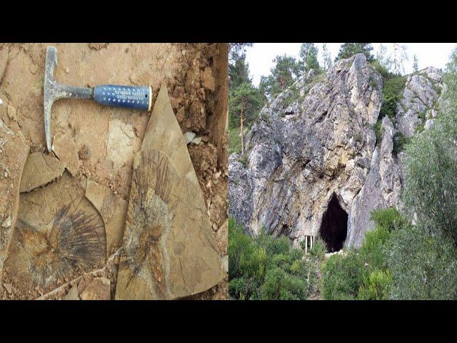 Six million year old skeleton points to arid past of Tibetan plateau