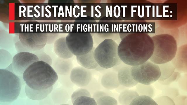 Battling the Superbugs: The Future of Fighting Infections