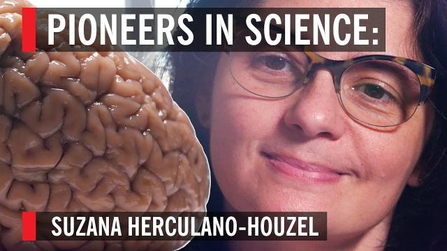 The woman who turns brains into soup: Suzana Herculano-Houzel