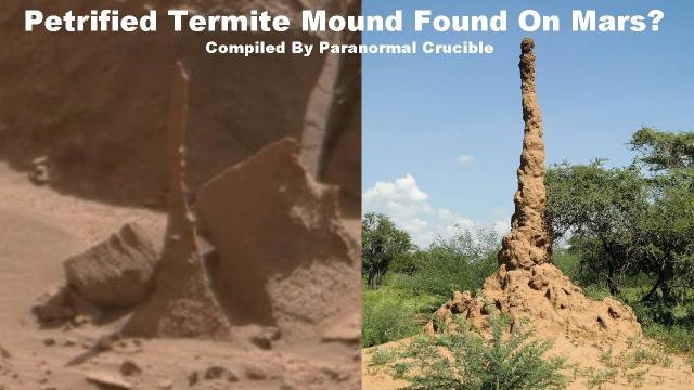 Petrified Termite Mound Found On Mars?