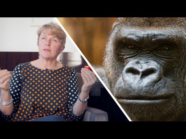 Interview : comment sauver les primates de l’extinction ?