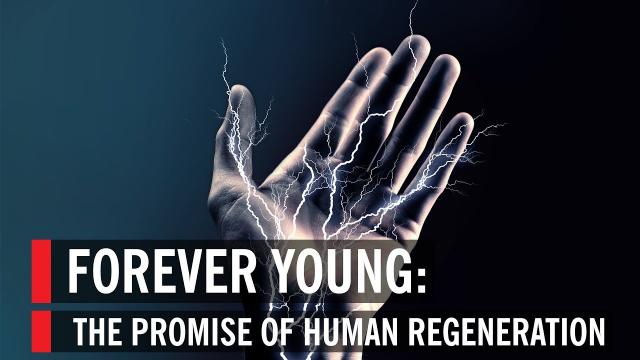 TRAILER - Forever Young: The Promise of Human Regeneration