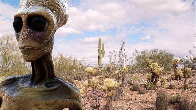 ‘Real’ Reptilian Extraterrestrial Selfie Results In 4chan Being Taken Offline