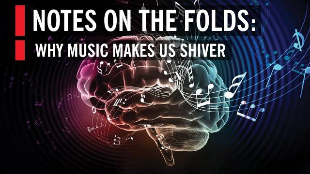 How Music Affects Your Brain: Notes on the Folds