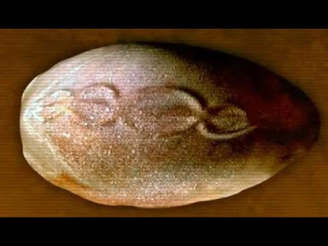 Why is there a DNA Double Helix Carved on this 7,000 Year old Portuguese Cosmic Egg
