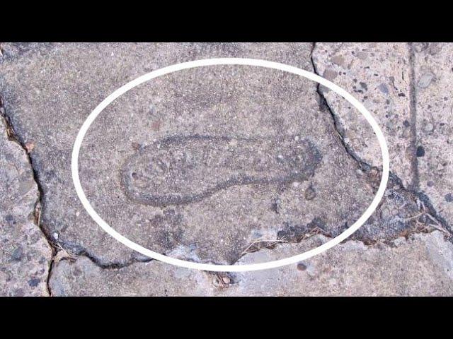 The ‘footprint’ embedded In a coal seam recorded to be 15 million years old In Fisher Canyon, Nevada