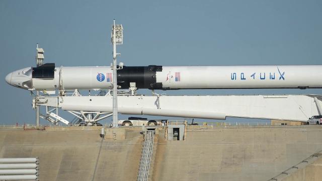 SpaceX Demo-2 rocket rolled out to launch pad