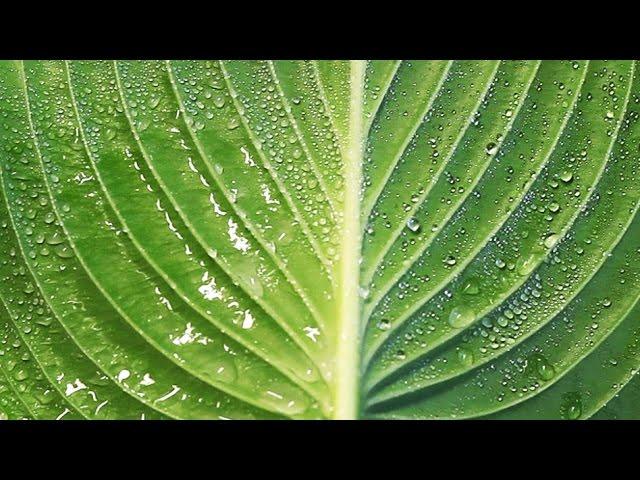 Making droplets stick