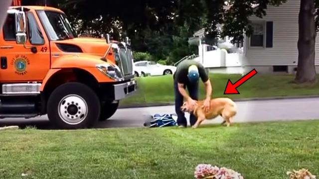 Garbage Man Didn't Know He Was On Camera, What They Caught Him Doing Took Their Breath Away
