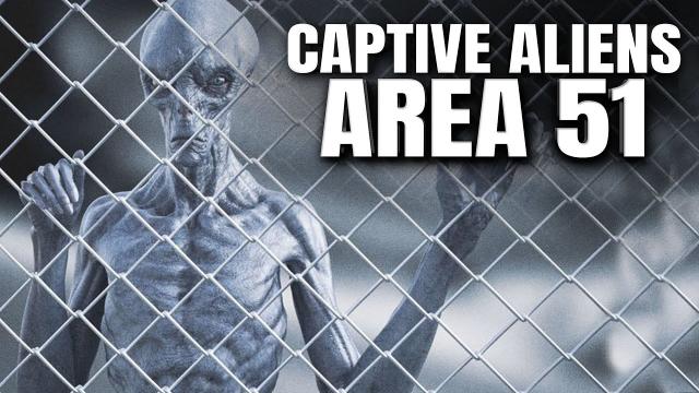 CAPTIVE ALIENS in Area 51 ? The KRILL Papers ????
