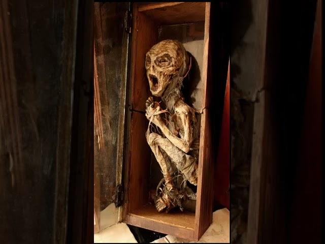 The Truth Behind The Mysterious Skeletons In An Or hanage Basement